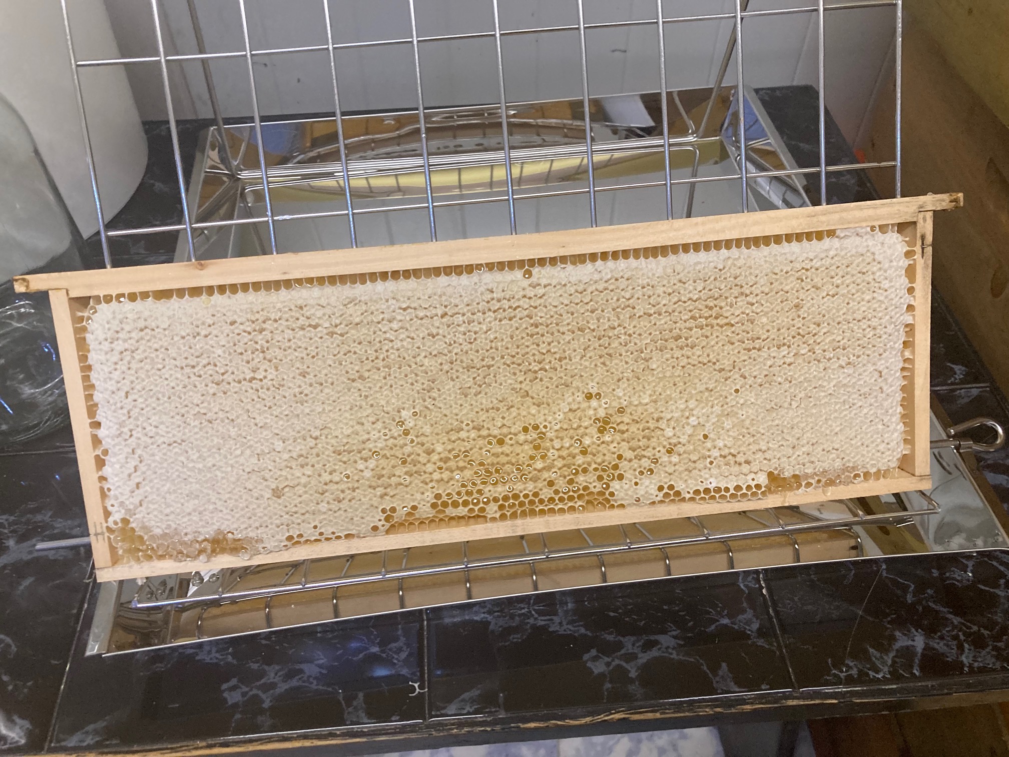 Zavíčkovaný plást